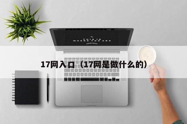17网入口（17网是做什么的）